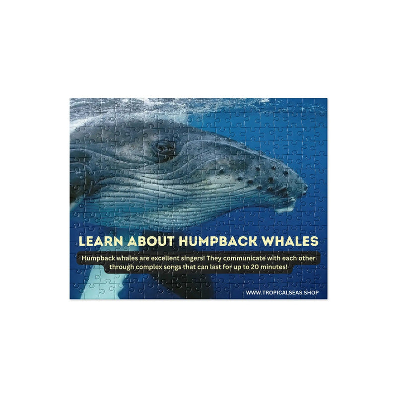 Humpback Whales Fun Fact Jigsaw puzzle - Winter Sunshine Marketplace